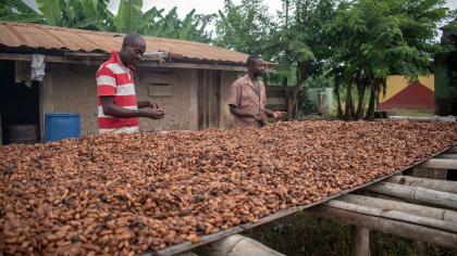 Cover image for Reciprocal tariffs should exclude vulnerable developing economies – UN trade body